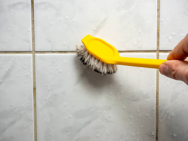 Best Professional Mold Removal  in Drum Point, MD