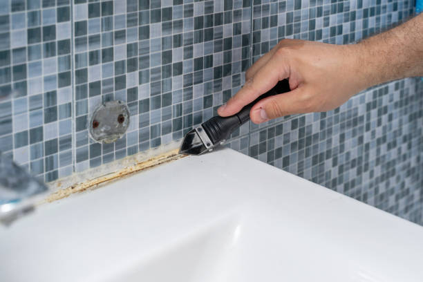 Best Same-Day Mold Removal  in Drum Point, MD