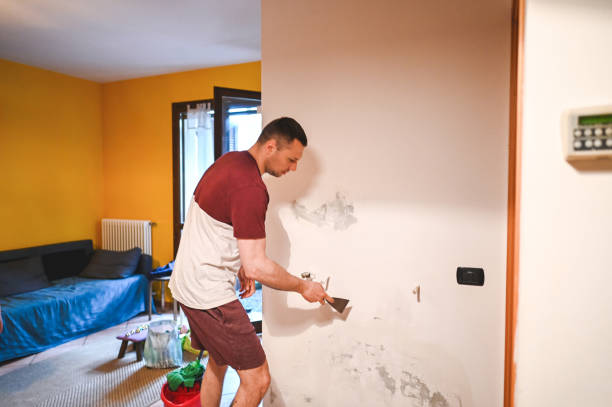 Best Professional Mold Removal  in Drum Point, MD